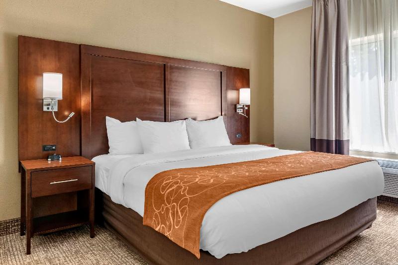 스위트 킹사이즈 침대, Comfort Suites Auburn Near I69