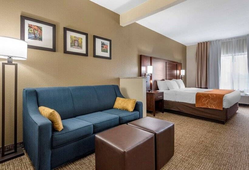 스위트, Comfort Suites Auburn Near I69
