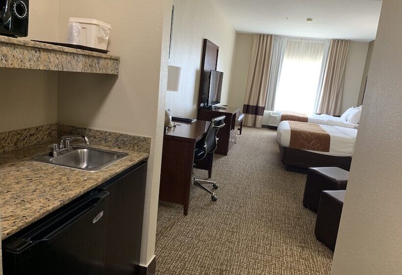 Люкс, Comfort Suites Auburn Near I69