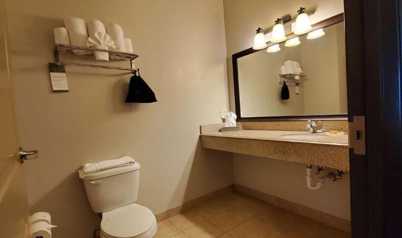 标准间, Best Western Plus Emory At Lake Fork Inn & Suites