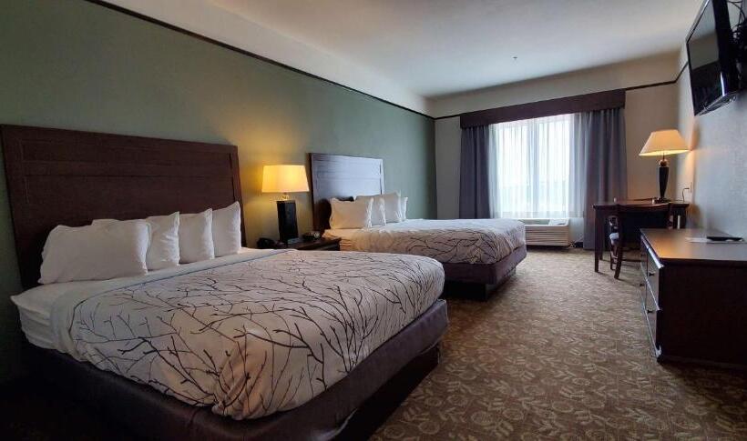 标准间, Best Western Plus Emory At Lake Fork Inn & Suites