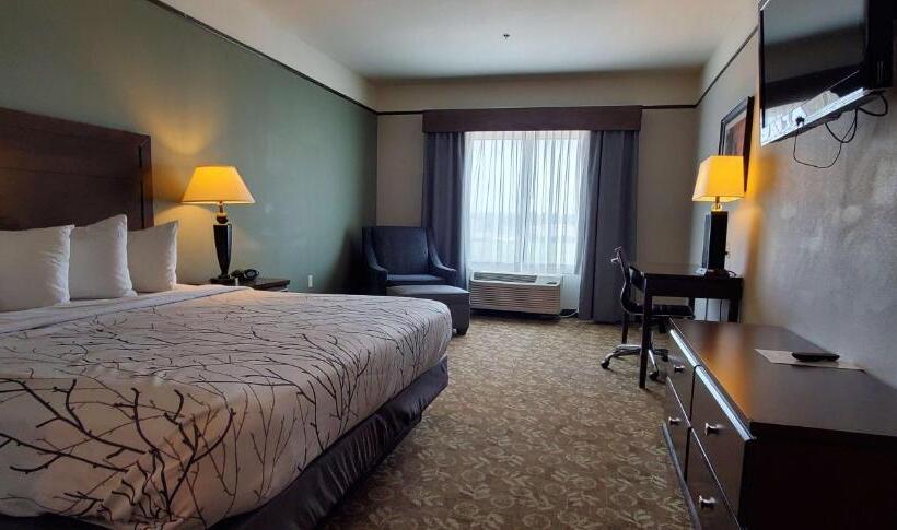 带大床的标准间, Best Western Plus Emory At Lake Fork Inn & Suites