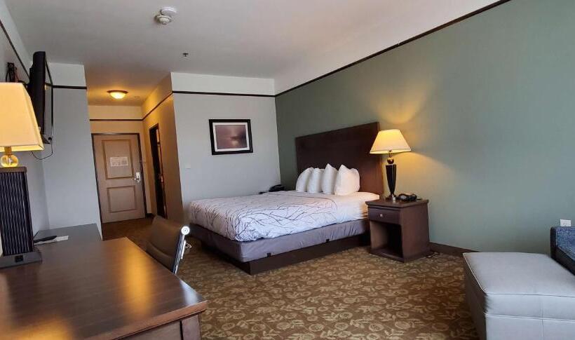 带大床的标准间, Best Western Plus Emory At Lake Fork Inn & Suites