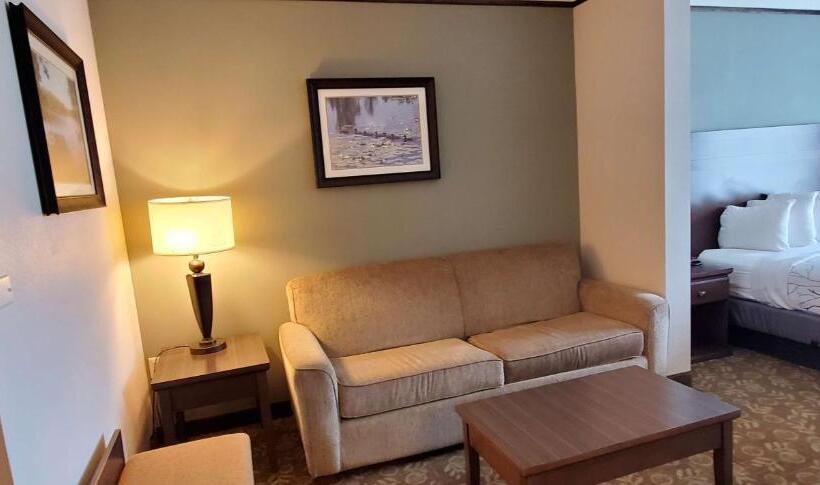 套房, Best Western Plus Emory At Lake Fork Inn & Suites