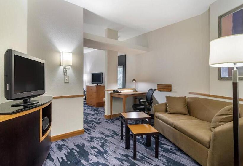 Студио Стандарт Кровать Кинг, Fairfield Inn & Suites By Marriott Commerce