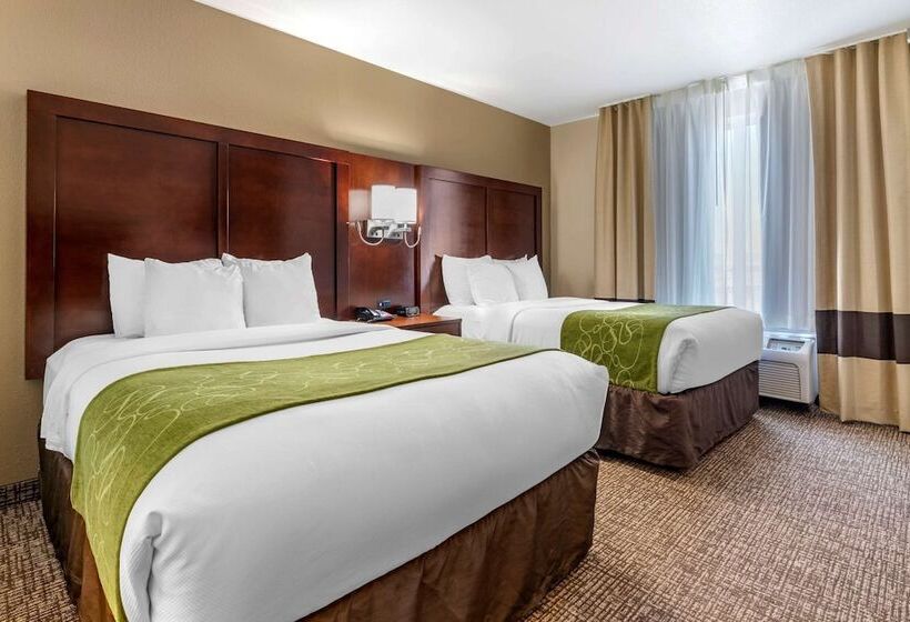 套房, Comfort Suites Fernley