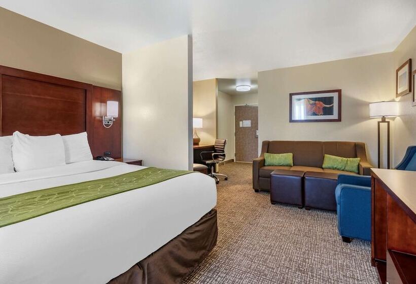适合残疾人士使用的套间, Comfort Suites Fernley