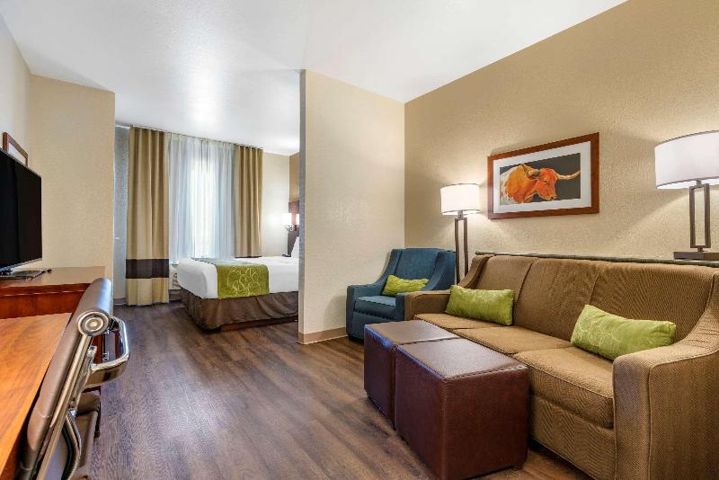 带大床的套房, Comfort Suites Fernley