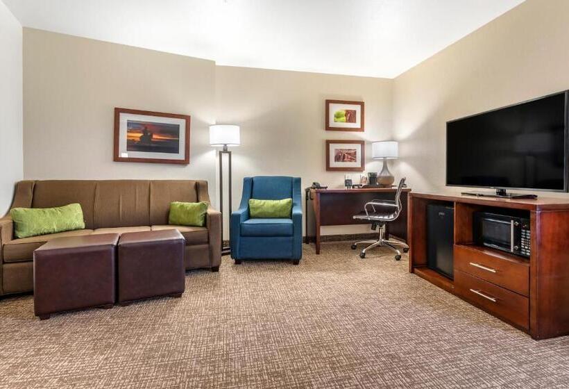 장애인용 주니어 스위트, Comfort Suites Fernley