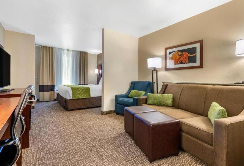 适合残疾人士使用的套间, Comfort Suites Fernley