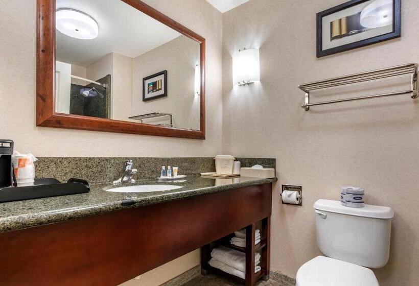 小型套房, Comfort Suites Fernley