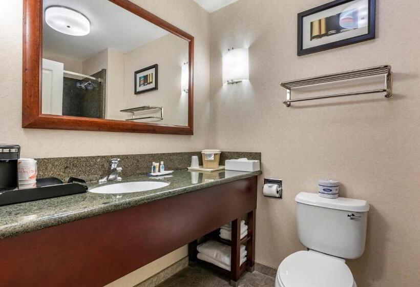 小型套房, Comfort Suites Fernley