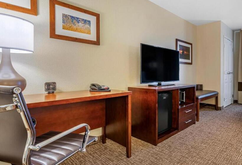 带大床的套房, Comfort Suites Fernley