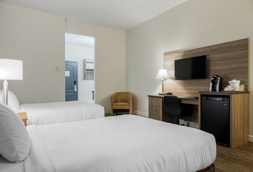 스탠다드 룸 더블 침대 2개, Econo Lodge Inn & Suites