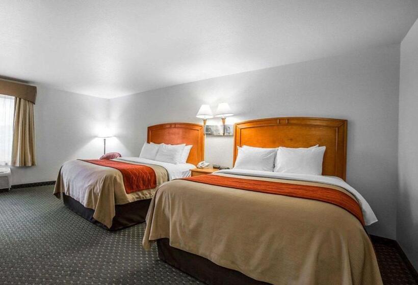 Номер Стандарт, Comfort Inn & Suites