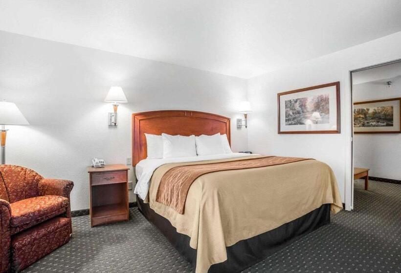 Люкс Кровать Кинг, Comfort Inn & Suites