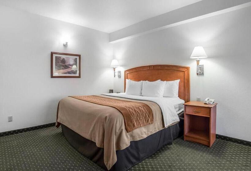Номер Стандарт Кровать Кинг Адаптированный для Инвалидов, Comfort Inn & Suites