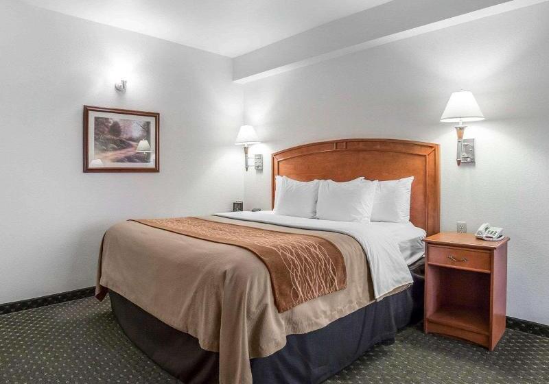 Номер Стандарт, Comfort Inn & Suites