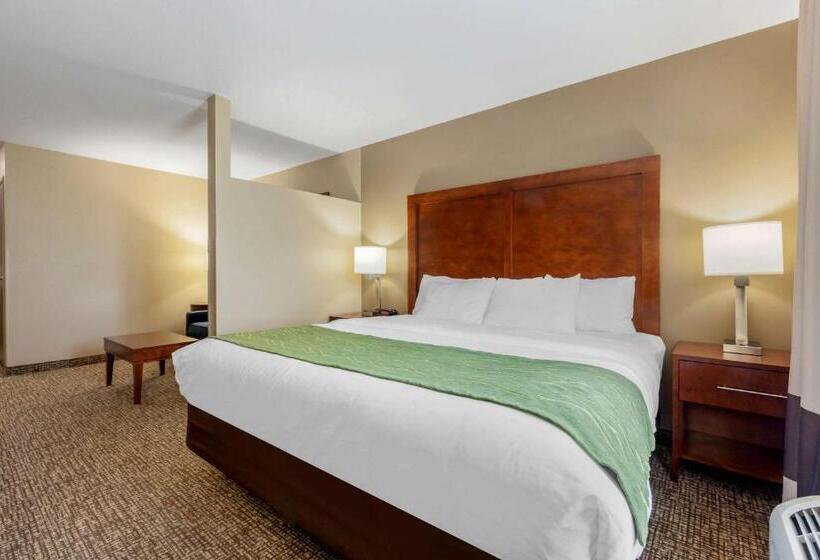 Люкс Кровать Кинг, Comfort Inn Ploverstevens Point