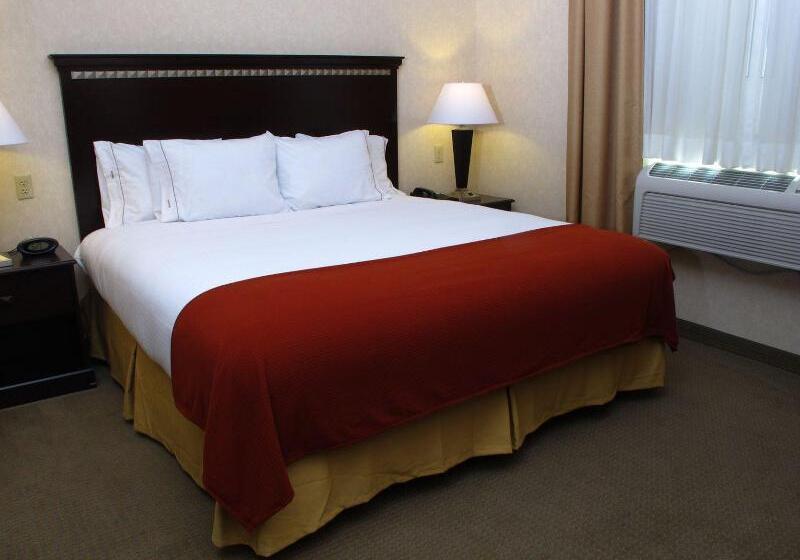 חדר סטנדרט עם מיטת קינג, Holiday Inn Express Salt Lake City South   Midvale, An Ihg