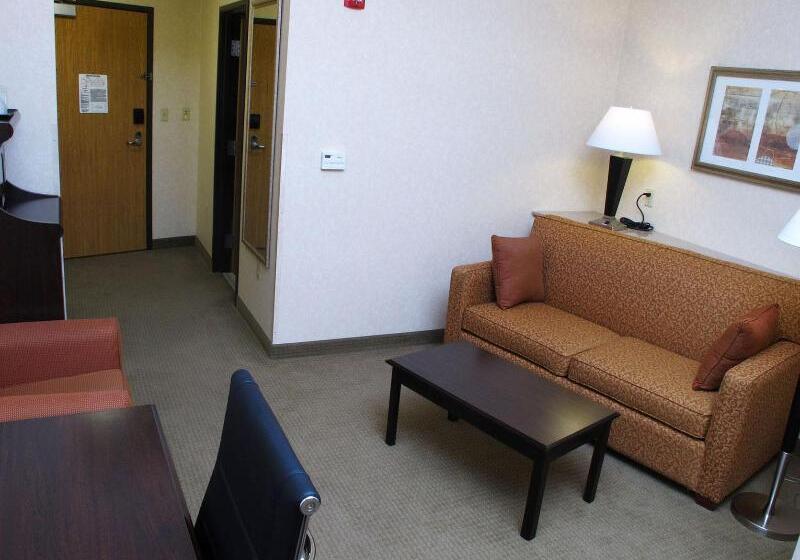 חדר אקזקיוטיב חדר קינג, Holiday Inn Express Salt Lake City South   Midvale, An Ihg