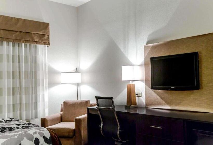 스탠다드 룸, Sleep Inn & Suites Marion  Military Institute