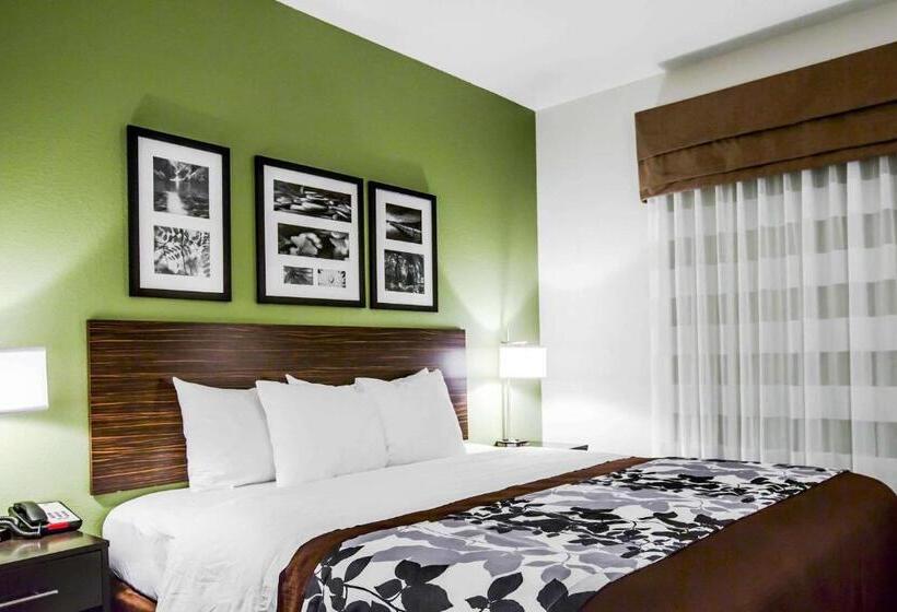 스위트 킹사이즈 침대, Sleep Inn & Suites Marion  Military Institute