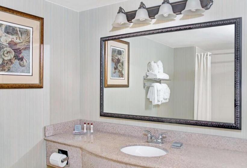 Deluxe Suite King-Size Franciággyal, Wingate By Wyndham Charleston Southern University