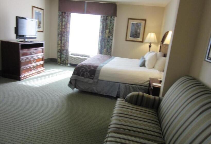Deluxe Suite King-Size Franciággyal, Wingate By Wyndham Charleston Southern University