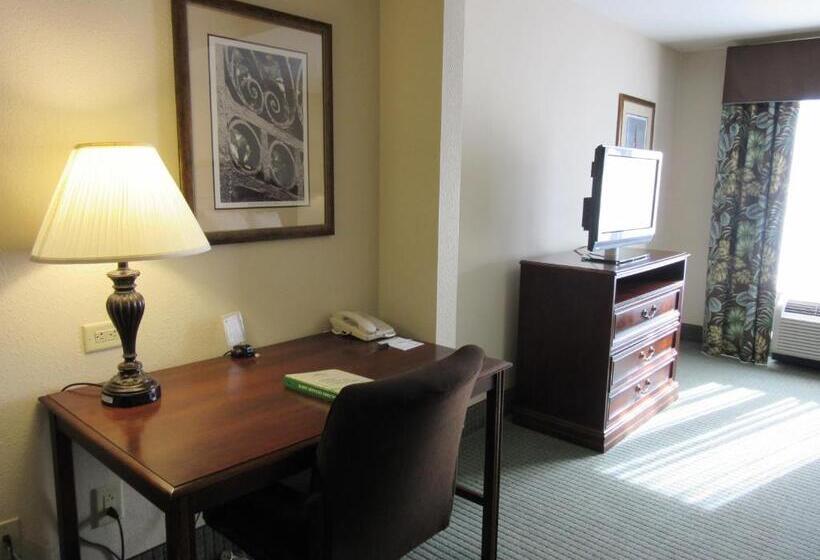 Standard Szoba King Size Bed, Wingate By Wyndham Charleston Southern University