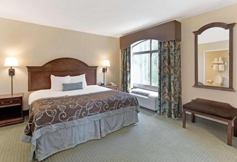 Standard Szoba King Size Bed, Wingate By Wyndham Charleston Southern University