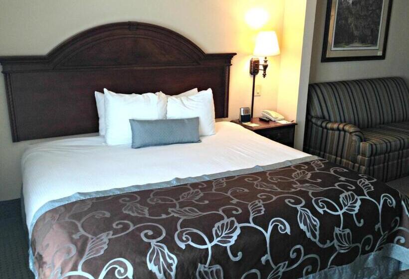 Standard Szoba King Size Bed, Wingate By Wyndham Charleston Southern University