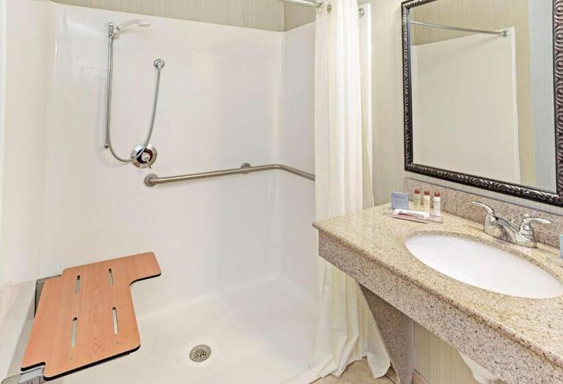 Deluxe Kamer Aangepast voor Gehandicapten, Wingate By Wyndham Charleston Southern University