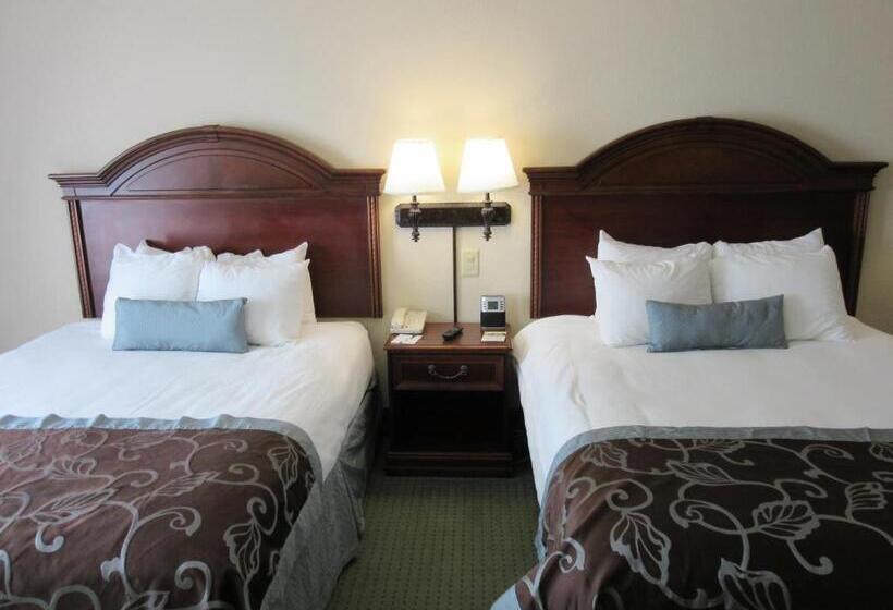 Deluxe Kamer Aangepast voor Gehandicapten, Wingate By Wyndham Charleston Southern University