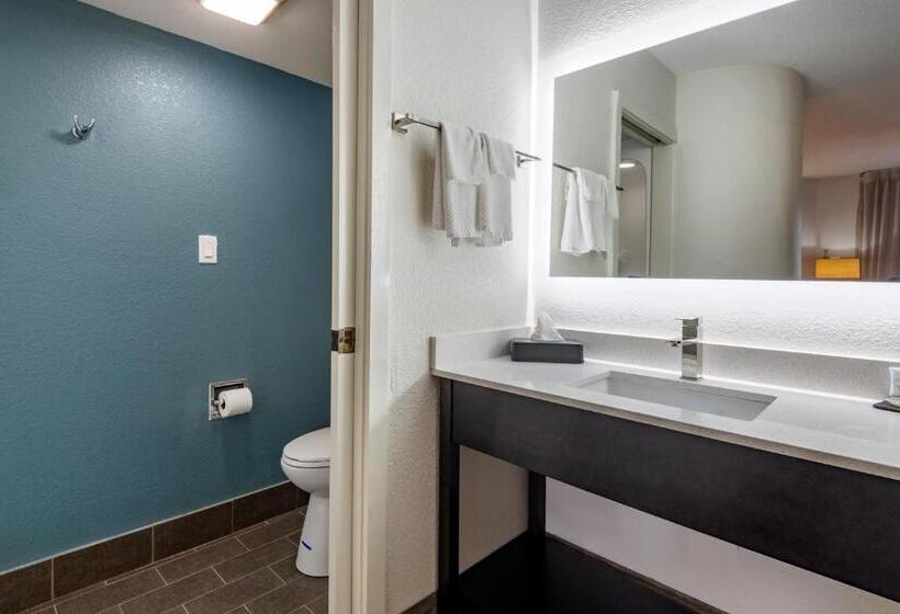 Номер Стандарт 2 Двуспальные Кровати, Sleep Inn  Salisbury I85