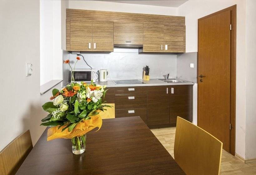 Апартаменты Superior 1 Спальня, Prater Residence