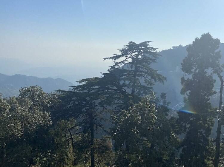 스탠다드 전망 룸, Fortune Resort Grace, Mussoorie   Member Itc S Hotel Group