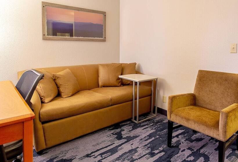 Президентский Люкс, Fairfield Inn & Suites Minneapolis Eden Prairie