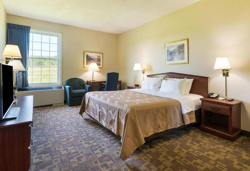 Номер Стандарт Кровать Кинг Адаптированный для Инвалидов, Quality Inn & Suites Schoharie Near Howe Caverns