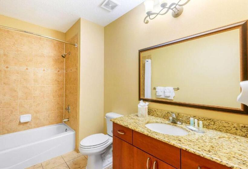 스탠다드 룸 킹사이즈 침대, Clarion Inn Ormond Beach At Destination Daytona
