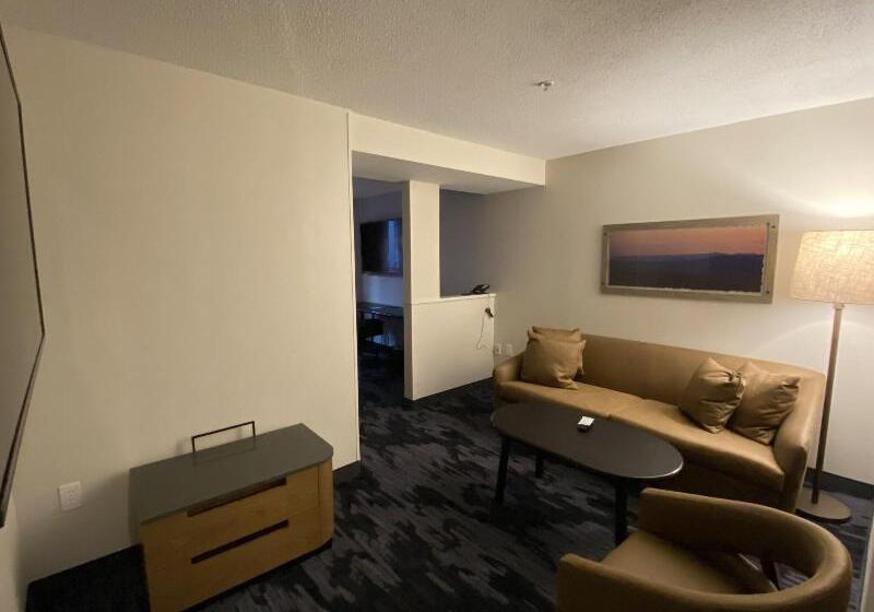 带大床的标准工作室, Fairfield Inn & Suites By Marriott Saratoga Malta