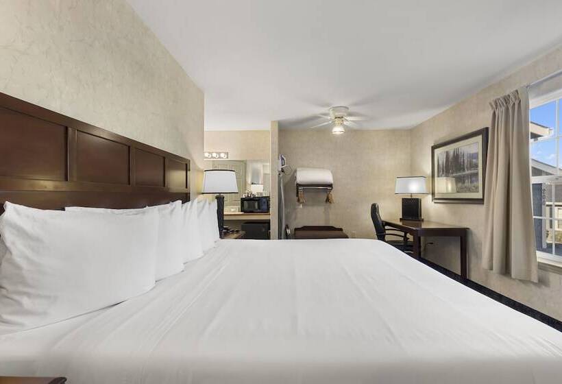 标准间带双人床, Beach House Inn