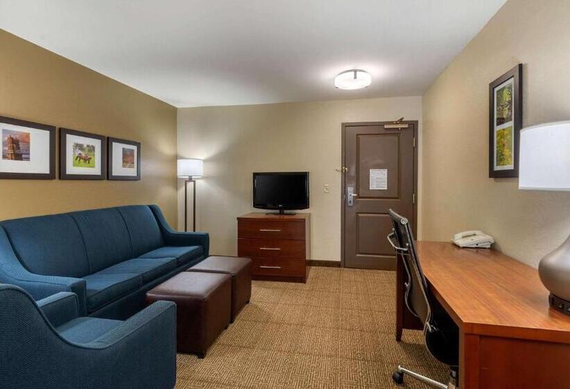Люкс Кровать Кинг, Comfort Inn & Suites Northern Kentucky
