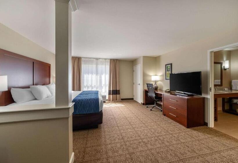 Люкс Кровать Кинг, Comfort Inn & Suites Northern Kentucky