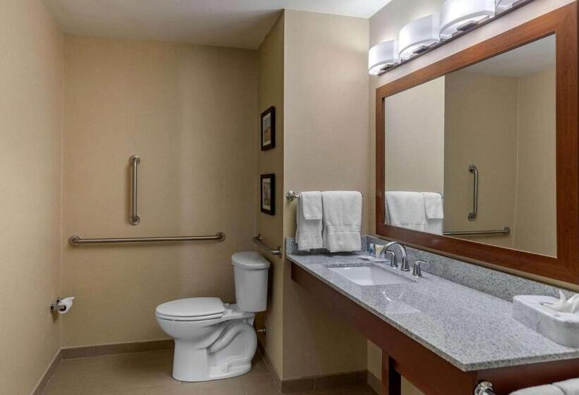 Номер Стандарт Кровать Кинг Адаптированный для Инвалидов, Comfort Inn & Suites Northern Kentucky