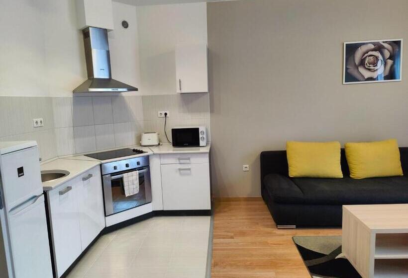 Апартаменты 2 Спальни, Corvin Plaza Apartments & Suites