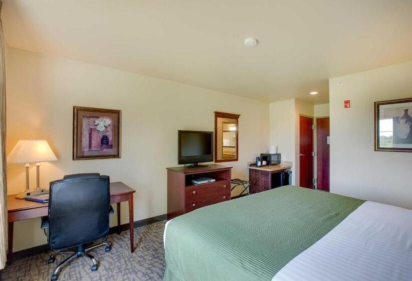 Стандартный Номер Кровать Кинг, Cobblestone Inn & Suites  Clintonville