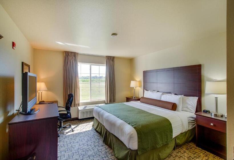 Стандартный Номер Кровать Кинг, Cobblestone Inn & Suites  Clintonville
