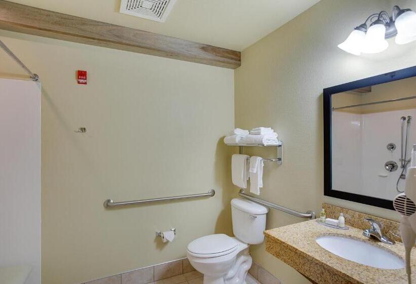 Номер Стандарт Адаптированный для Инвалидов, Cobblestone Inn & Suites  Clintonville