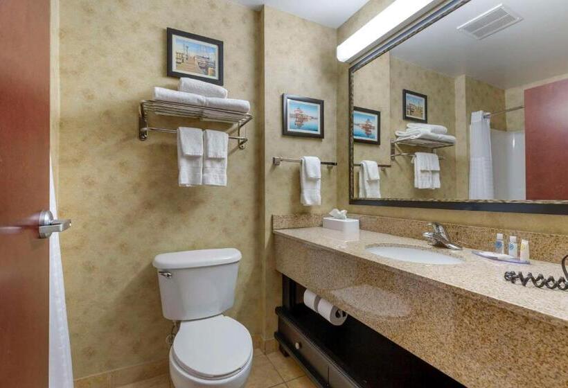 Стандартный Номер Кровать Кинг, Comfort Inn & Suites Cambridge